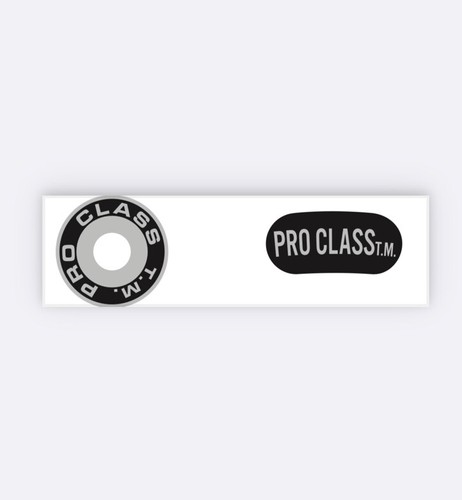 Pro class caliper decals - caliper, old