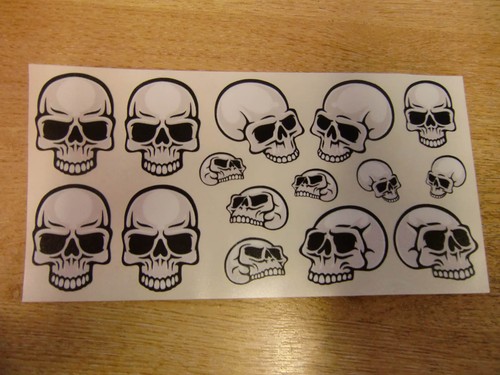 Skull sticker decal - skull, sticker/